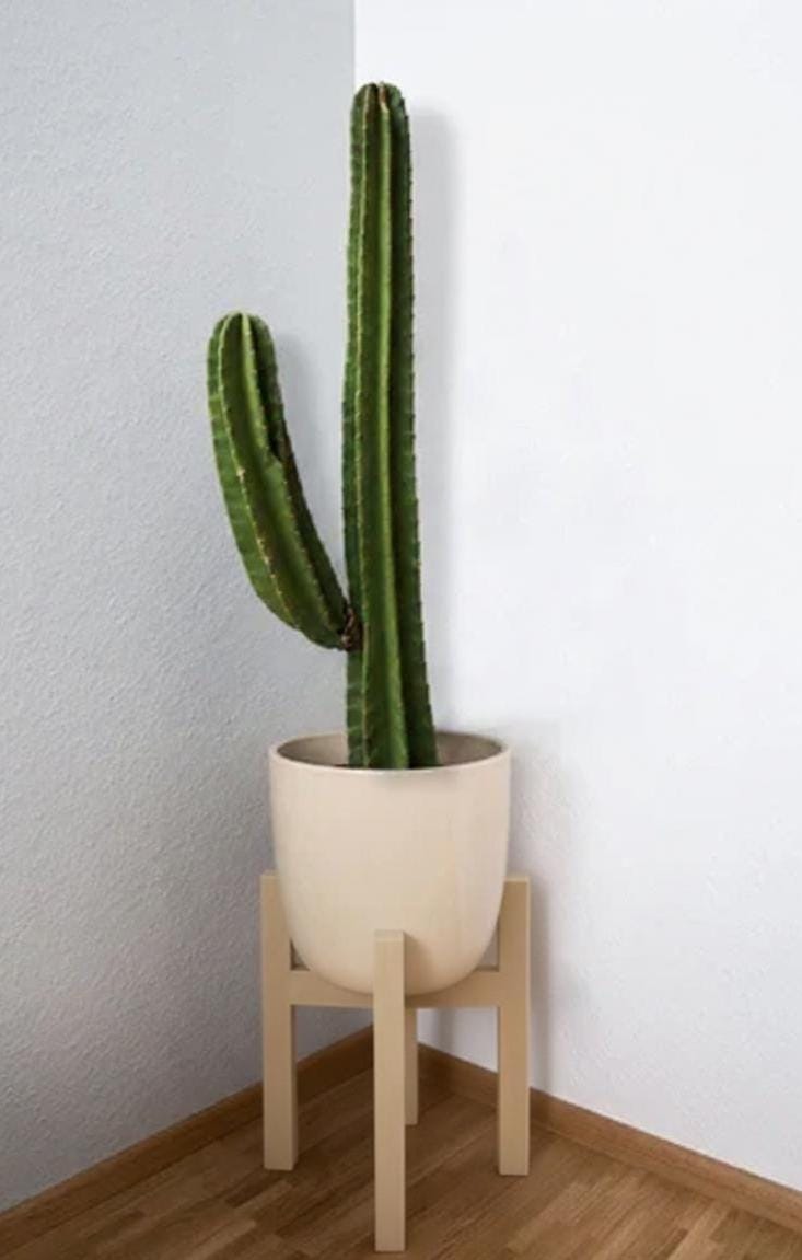 Casanova Aesthetic Plant Stand – Minimalist Modern Pot Holder – Indoor Planter Riser – Scandinavian Home Decor Small Plant Stool